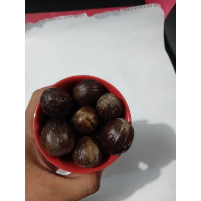 

Buah pala rempah rempah