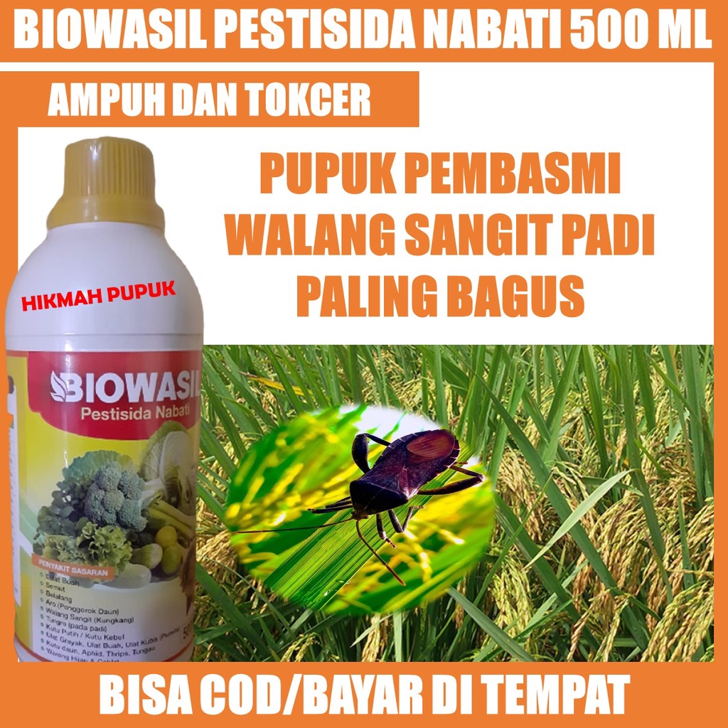 {PRODUK TERLARIS} BIOWASIL Pestisida Atasi Hama Walang Sangit Daun Padi Paling Ampuh - Pupuk Organik