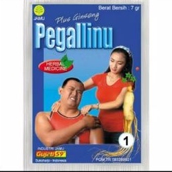jamu pegal linu encok gujati59