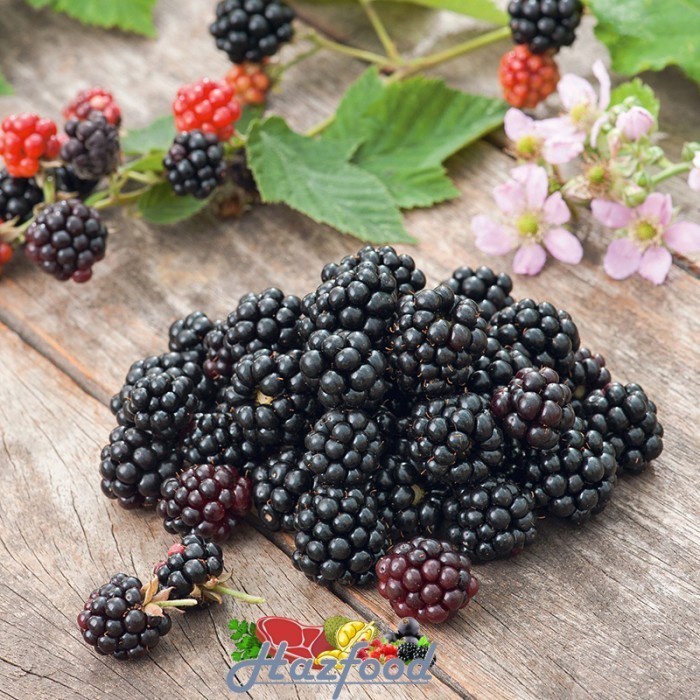 

Blackberry Blackberries