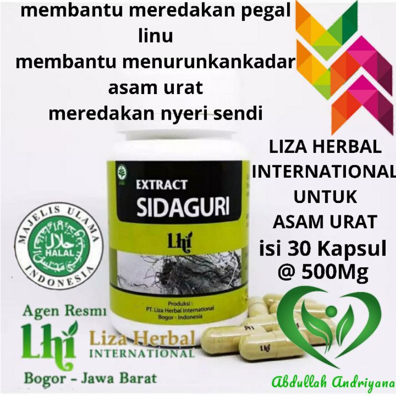 

Kapsul Herbal Untuk Asam Urat Extract SIDAGURI isi 30Kapsul Herbal LHI