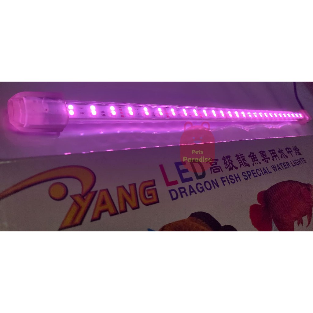 Lampu Led Aquarium Arwana Yang YP-75