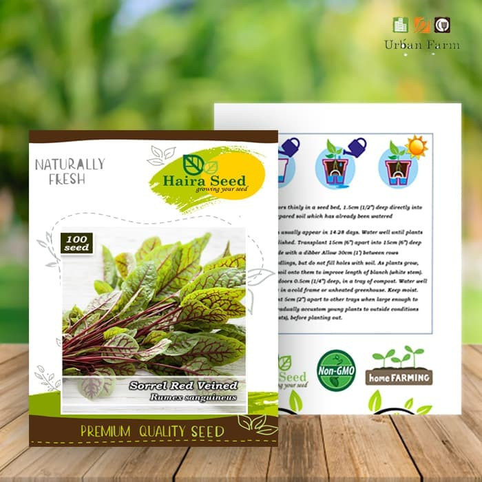 Haira Seed Bibit-Biji Sorrel Red Veined