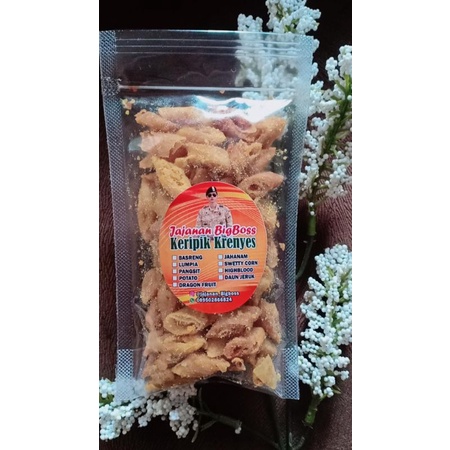 

Janjanan Bigboss Keripik lumpia