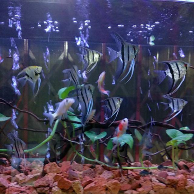 Waring Hitam / Meter Panjang ( Harga Per Meter Panjang )