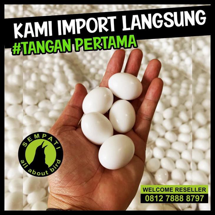 TELUR PALSU MAINAN BURUNG MERPATI