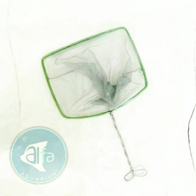 SEROKAN IKAN BESAR 20cm / Lele Cupang Koi Koki / Hias Jentik Jaring / Grosir Jual Banyak Jenis Murah