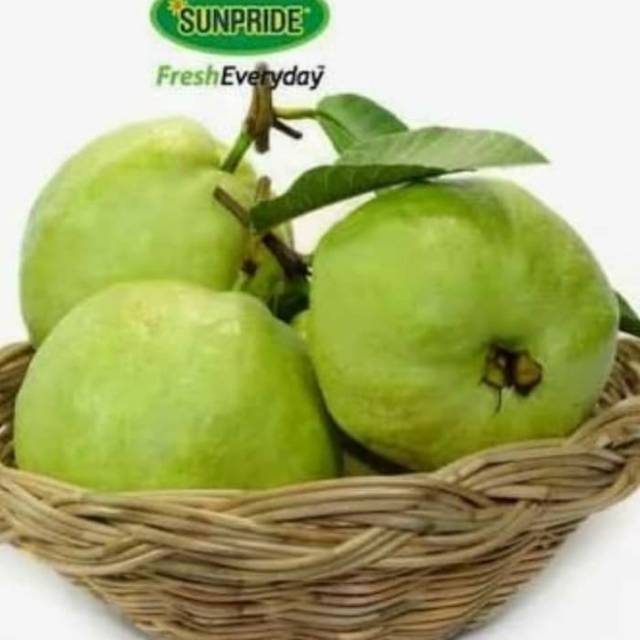 Jambu kristal sunpride