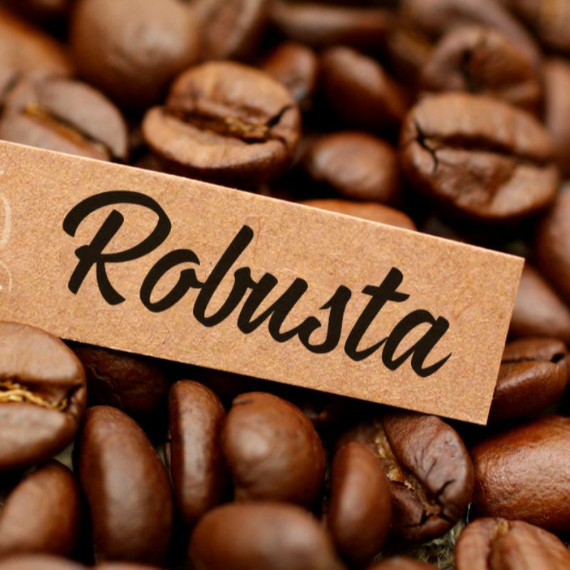 

Kopi Robusta Toraja