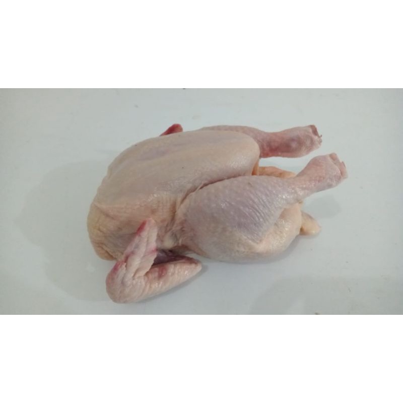 

Chicken whole ayam karkas boiler 085-09