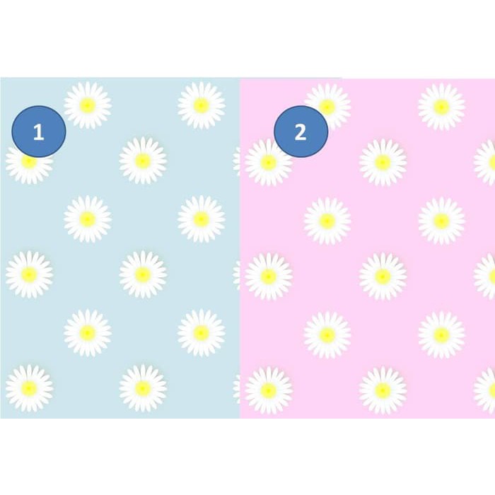 Kertas Scrapbook - Daisy Flower_MEIN Design