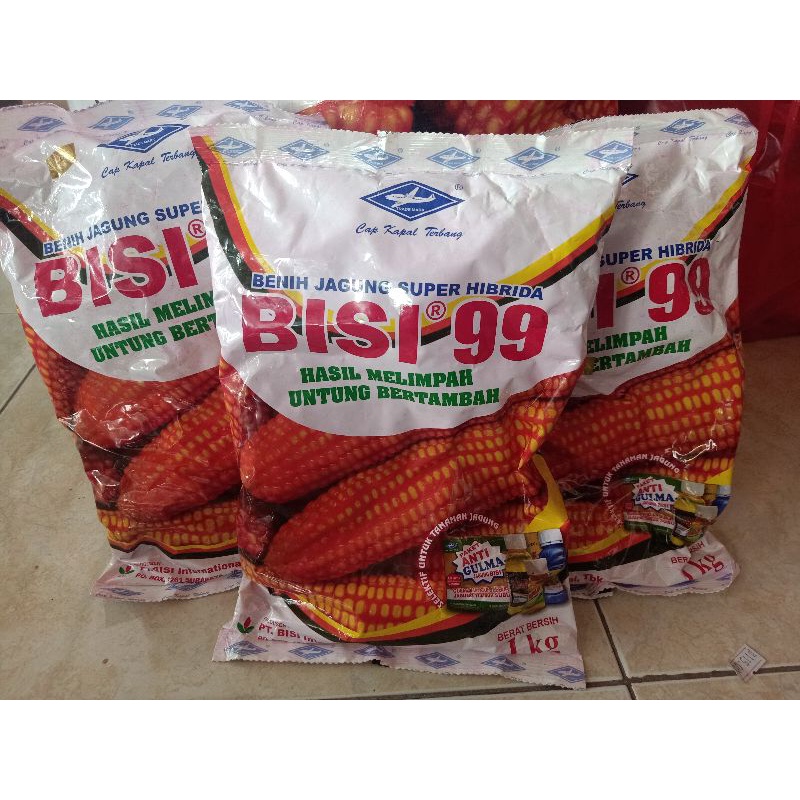 Bisi 99 Jagung Hibrida
