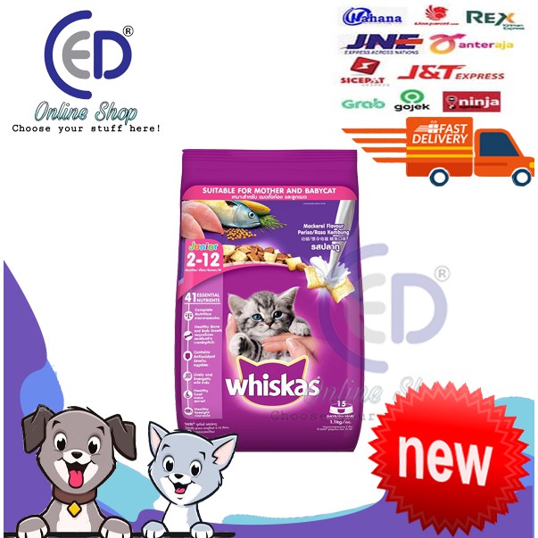 MAKANAN KUCING WHISKAS JUNIOR MACKEREL 1.1KG