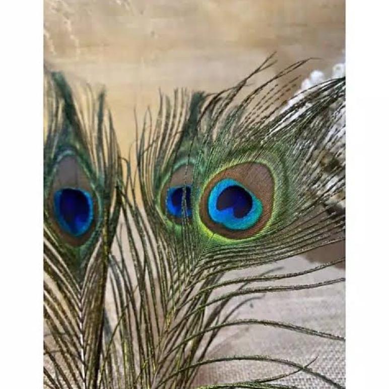 5 Helai Aplikasi Bulu 25-30Cm - Bulu Merak Sintetis - Bulu Ayam - Bulu Topi