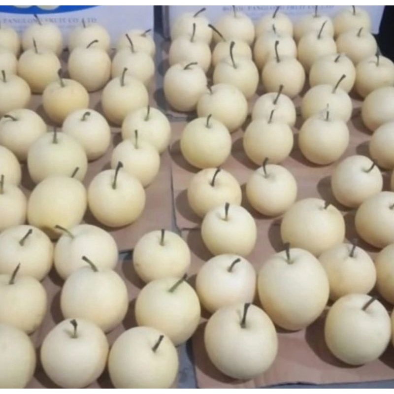 

Pear Century Fresh