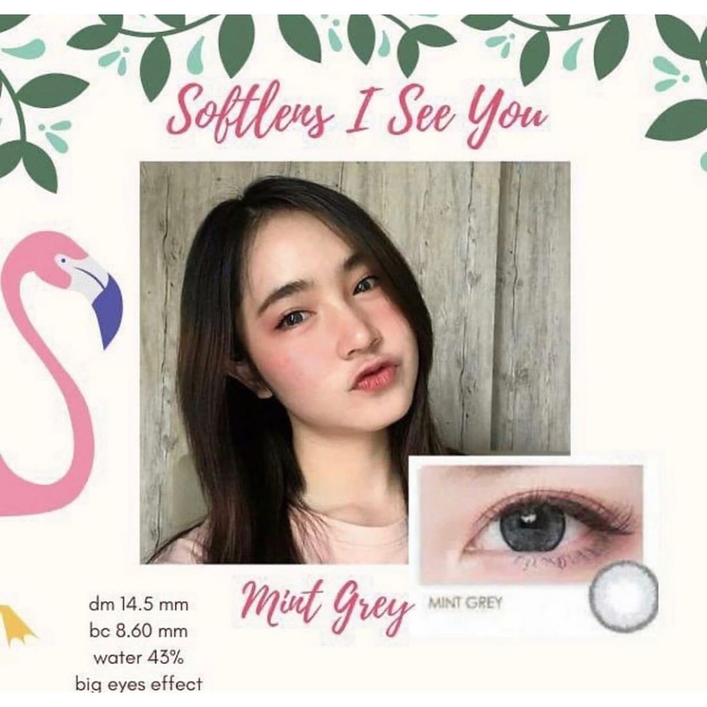 SOFTLENS MINUS DAN NORMAL OMEGA I SEE YOU MINT GREY 14.5mm (0.00 sd -6.00) GRATIS TEMPAT SOFLEN