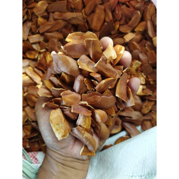 Biji Mahoni Kering Berkwalitas / Mahoni Herbal