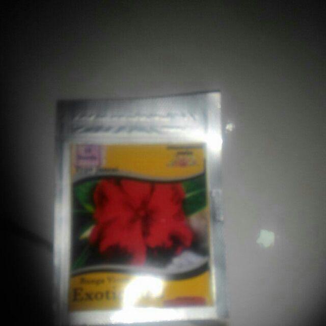 Benih Vinca Exotic Red Juntai 10 Biji – Kemasan Foil