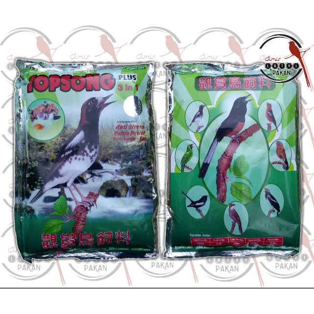 VOER TOPSONG HIJAU [RUMPUT LAUT]