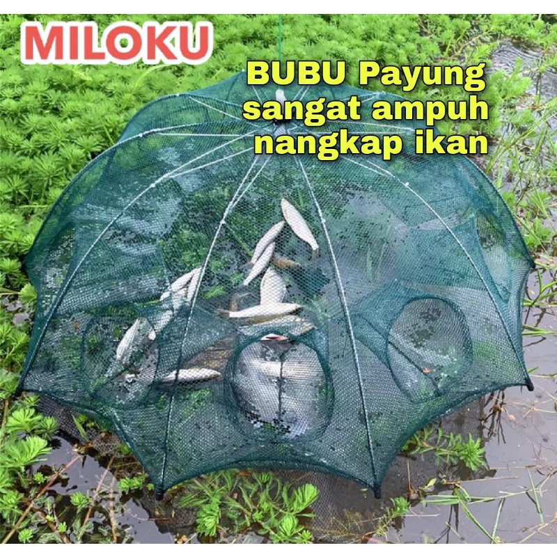 bubu payung ikan
