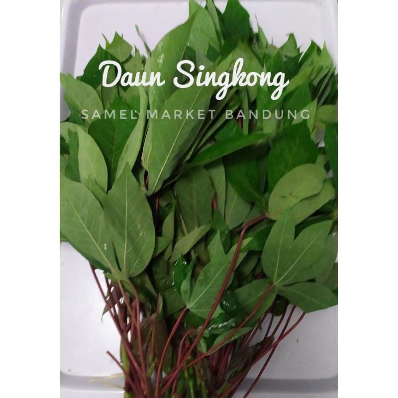 

Daun Singkong, 1 ikat