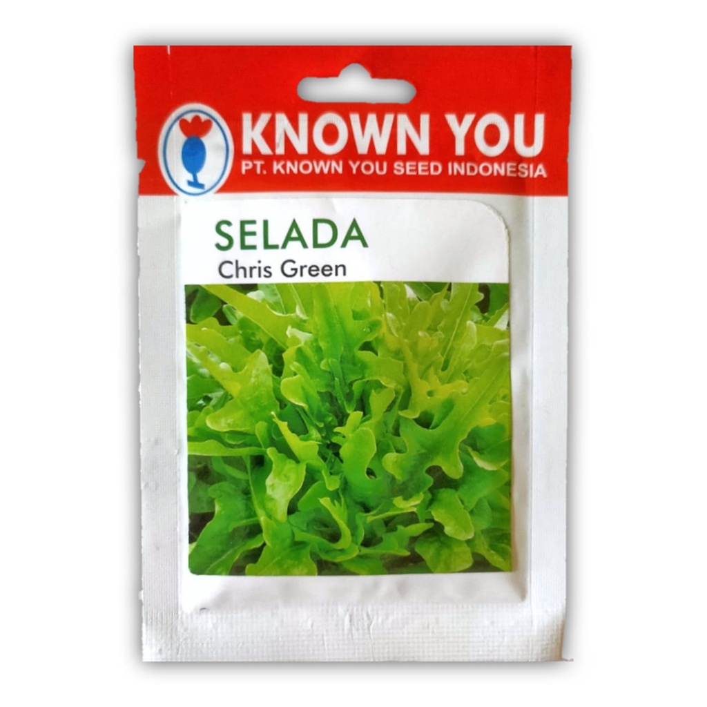 benih SELADA HIJAU OKLEAF CHRISS GREEN isi 5 gram - selada okleaf - KYS