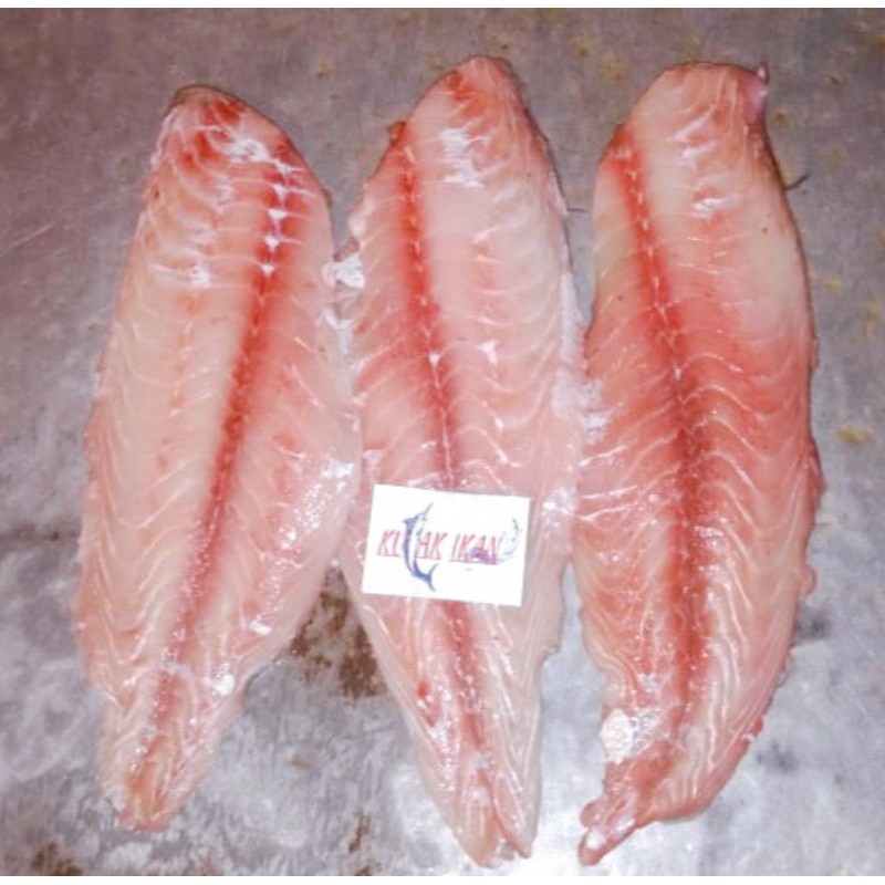 

IKAN KAKAP FILLET SEGAR/KAKAP FIlLET KUALITAS SUPER/FROZEN