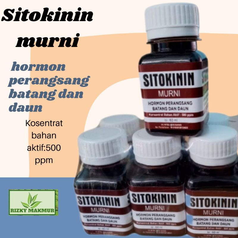 Sitokinin murni asli hormon perangsang batang dan daun