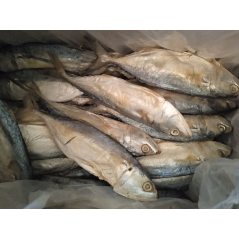 

Ikan Peda Putih