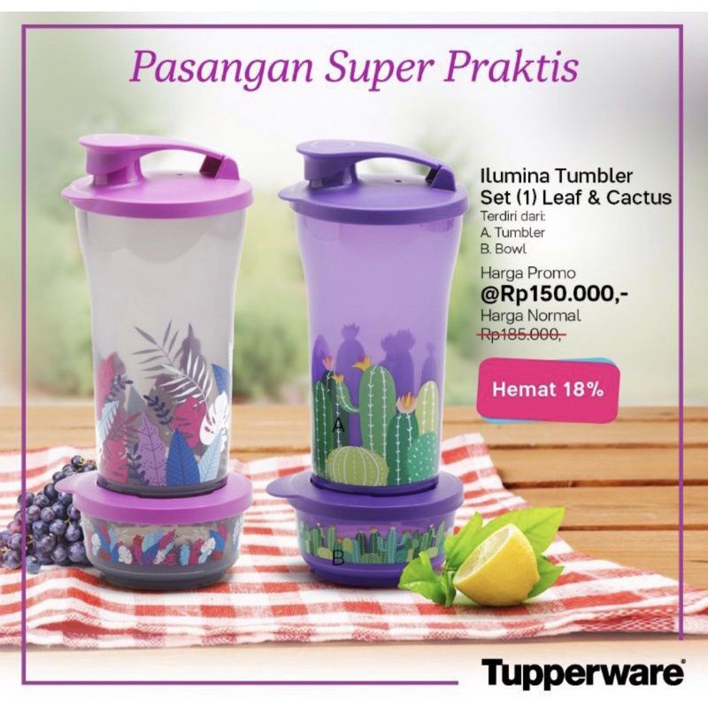 Ilumina set tupperware / tempat makan tupperware set