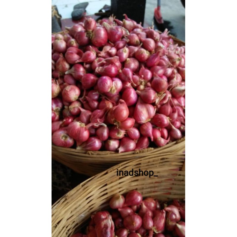 

BARU!! bawang merah 1kg Super murah Probolinggo