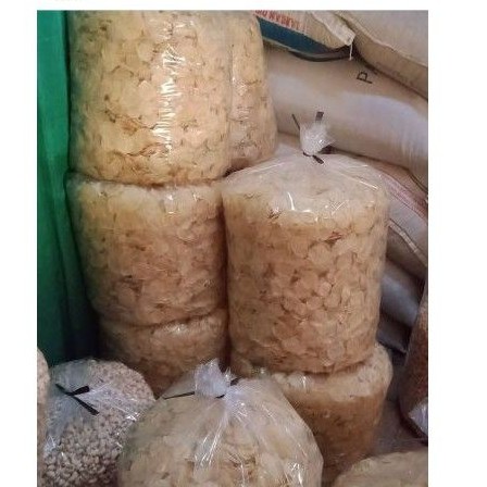

EMPING MELINJO MLINJO ASLI 100% WONOGIRI HERDIYON 1KG
