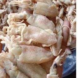 

[ORIGINAL] cumi kering 1kg kualitas super|baby cumi| cumi asin|ikan|ikan asin harga bersaing