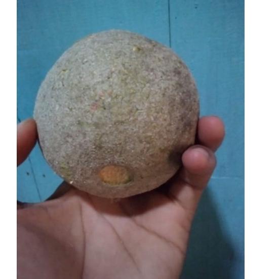 

✼Ready☊ buah kawis 1kg ( isi 2-4 buah) 86 ☊