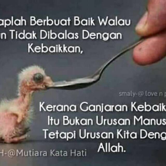 zakie_dadang