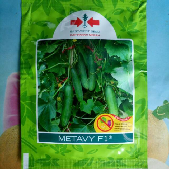 Benih Timun METAVY F1 175 Biji