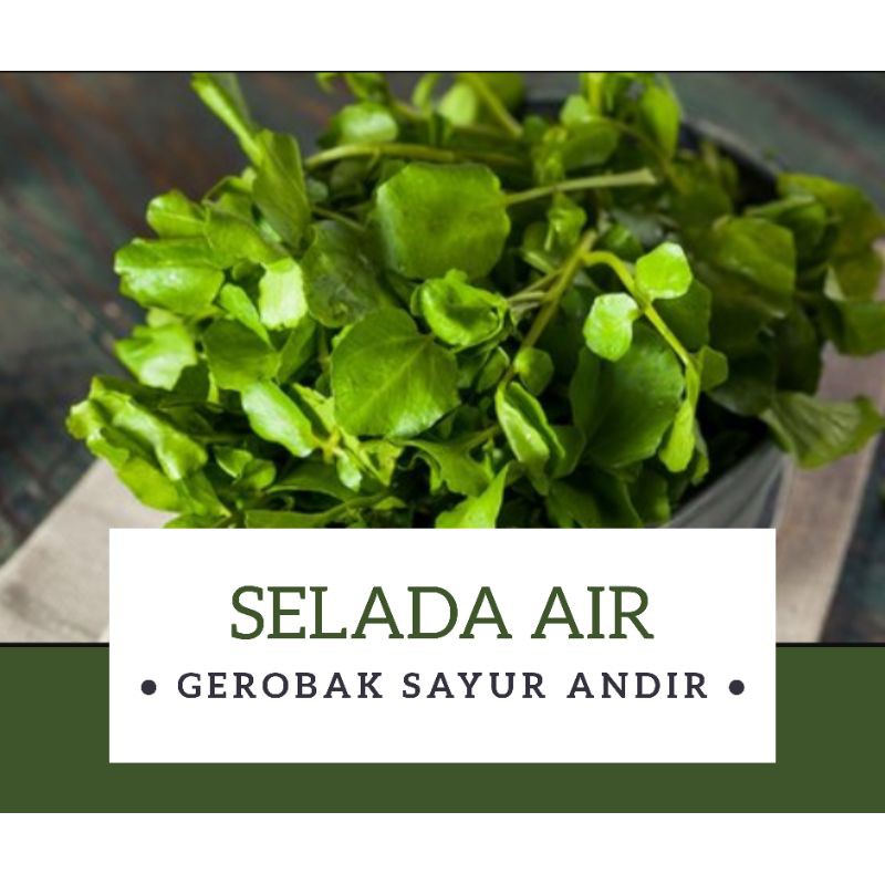 

Selada Air /ikat