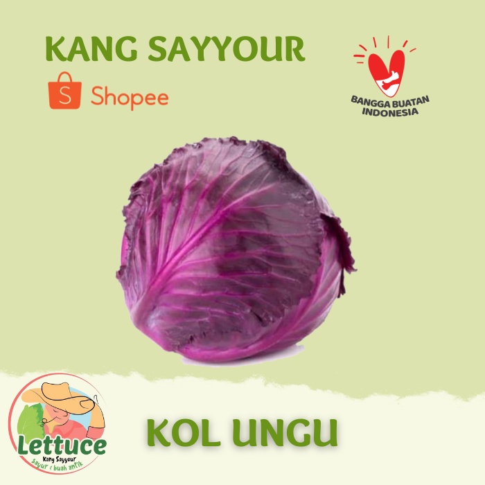 

Kol Ungu 800 - 1.000 grm Fresh Sayuran kol ungu murah