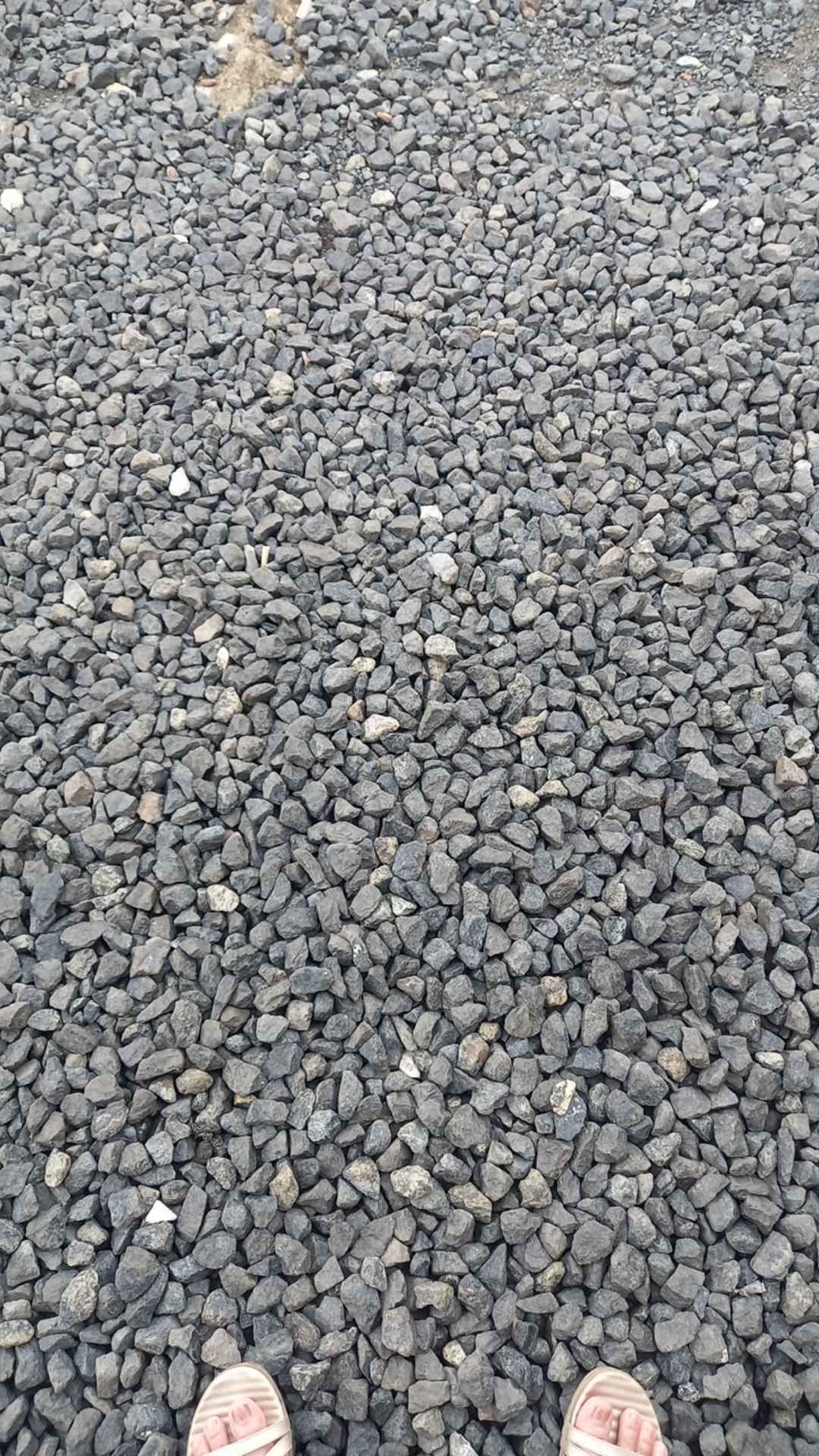 Mur Baud Siku Lubang 8x15