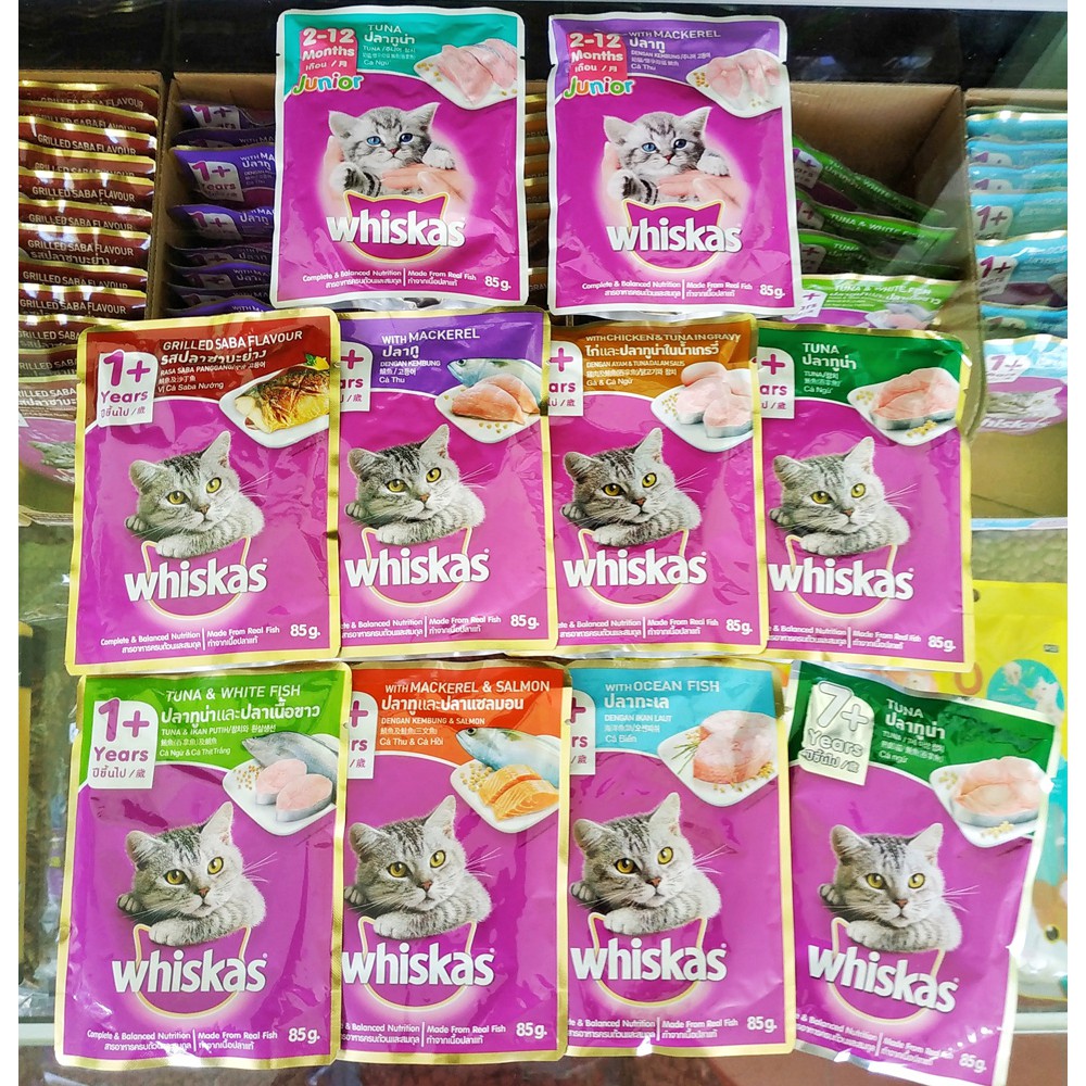 Whiskas Sachet 85 gram Junior Adult Bisa Campur Rasa