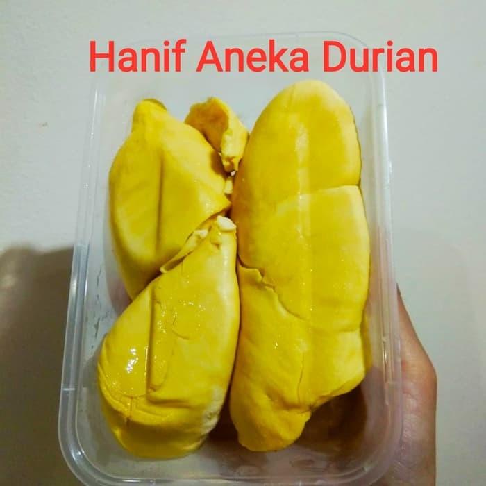

Buah | Durian Montong King Premium