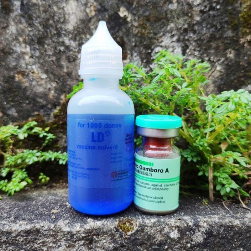 Gumboro A dosis 1000 vaksin pencegah gumboro pada ayam dan unggas vaksin tetes vaksin minum