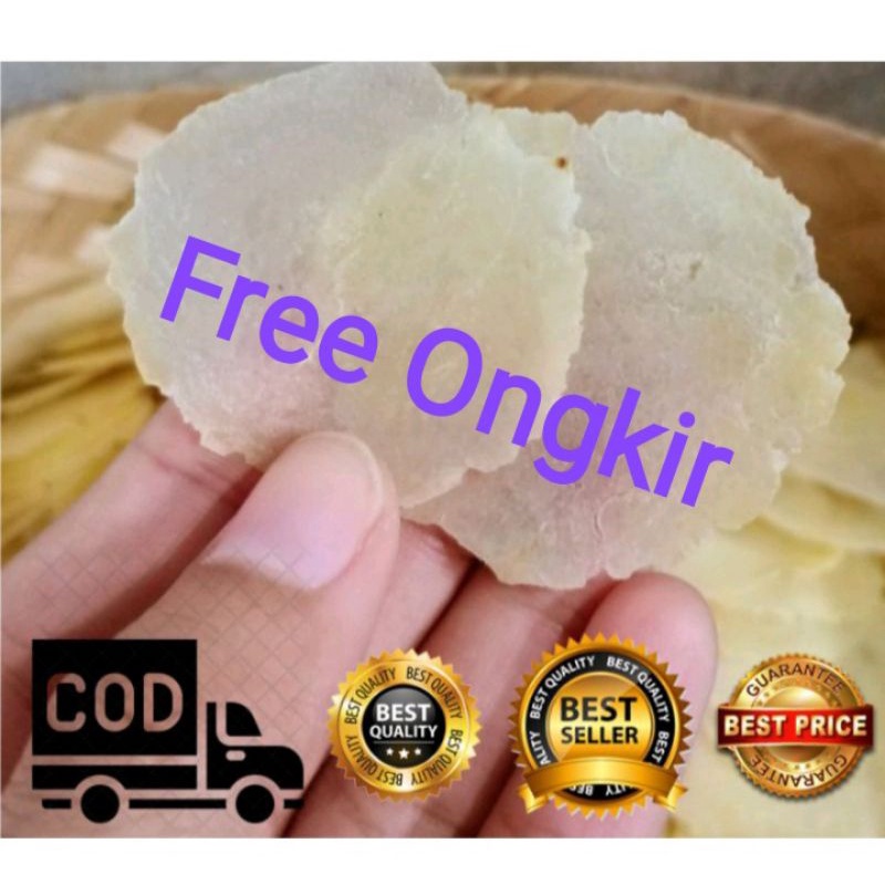 EMPING MELINJO MENTAH UKURAN KECIL (BIJI 1) TIPIS & KERING SUPER PREMIUM ASLI MANCAK CILEGON  BANTEN