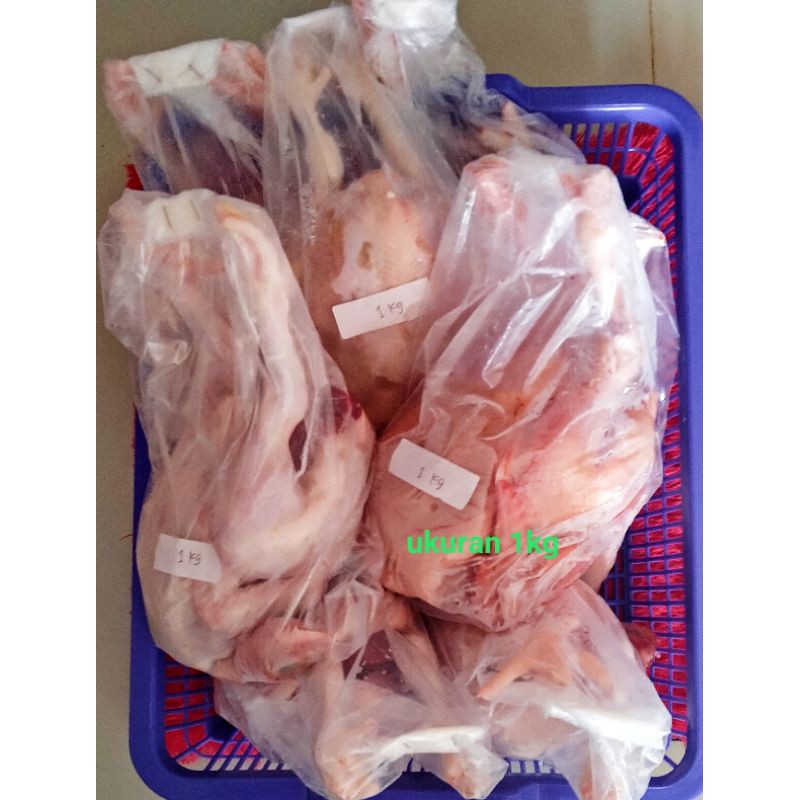 

Ayam Frozen ukuran 1kg