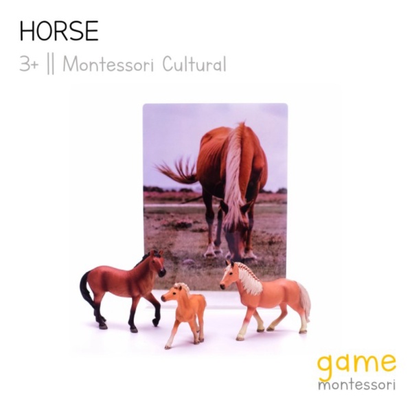 

Montessori Cultural Farm Animal Horse Berkualitas