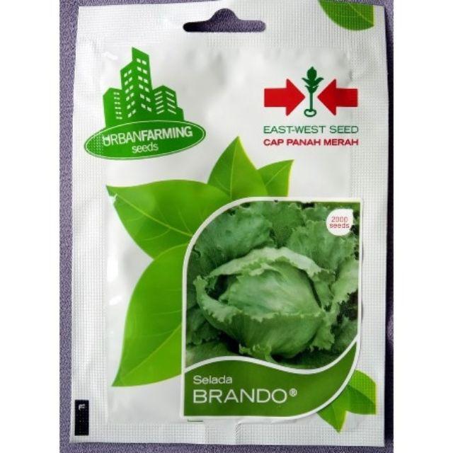 Isi 2000 Biji - Benih Selada Brando (cap Panah Merah)