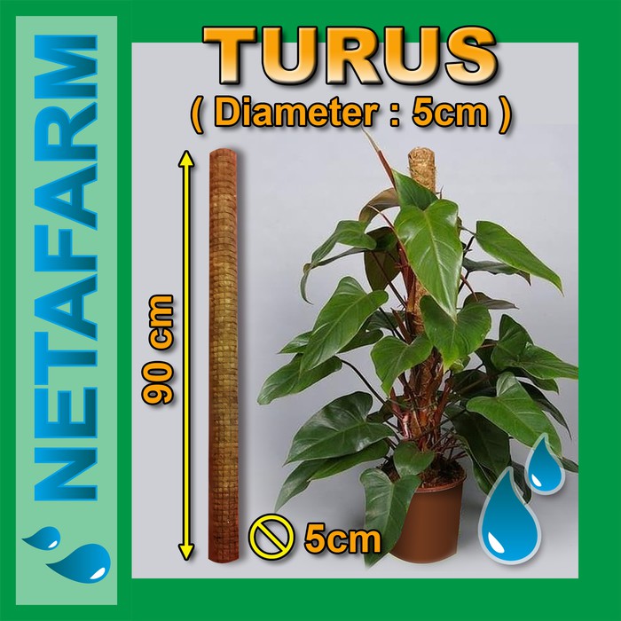 TURUS Diameter 5cm Tinggi 90cm ( Untuk merambat tanaman )