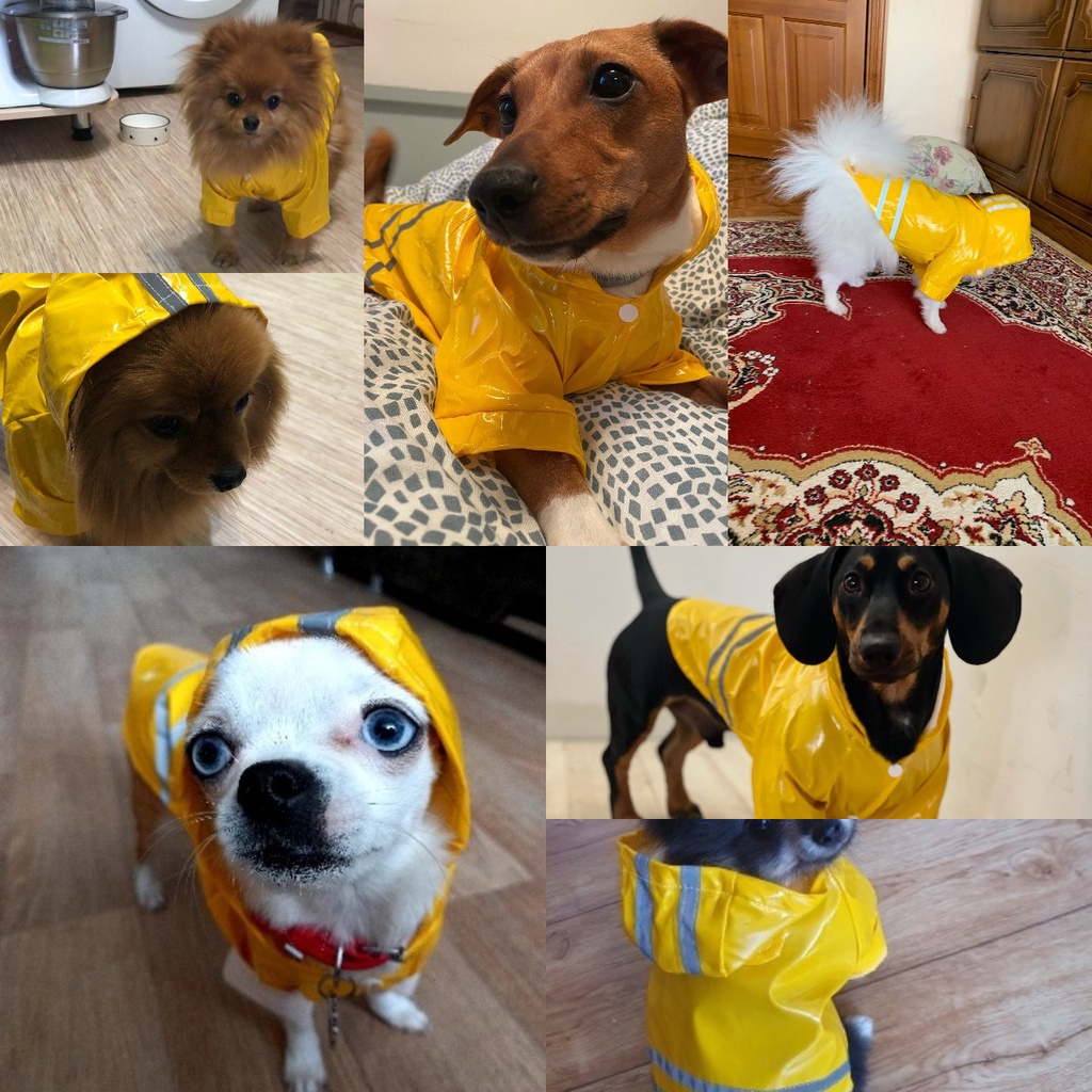 ★〓YUFeiPet〓★ Dog Waterproof Raincoat PU Reflective Stripe Hoody Teddy Pet Clothes Pet Supplies