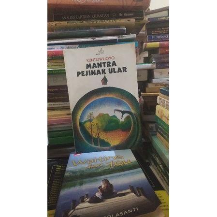 novel mantra pejinak ular