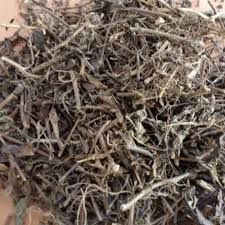 

ORIGINAL MURAH DAUN KUMIS KUCING KERING 100 GRAM